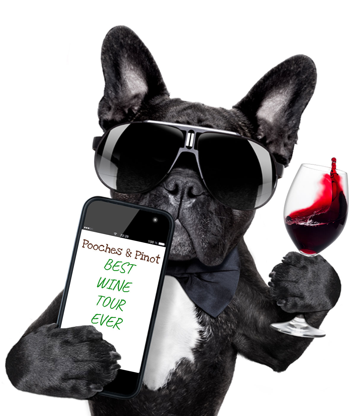 book-dog-friendly-wine-tour