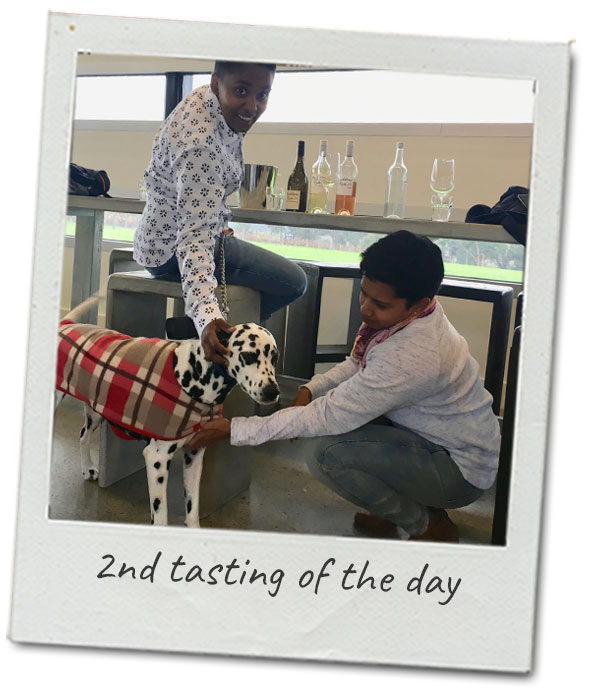 wine-tasting-with-dogs