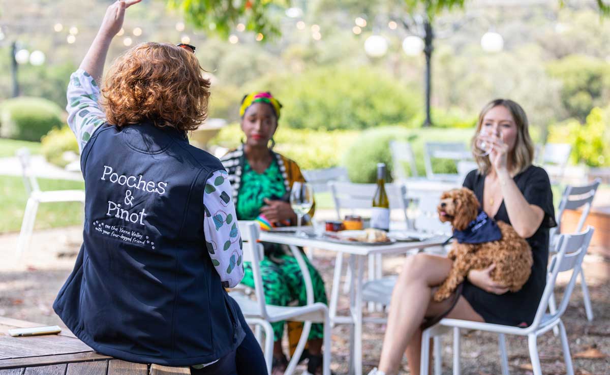 full-day-wine-tour-yarra-valley-hero-m