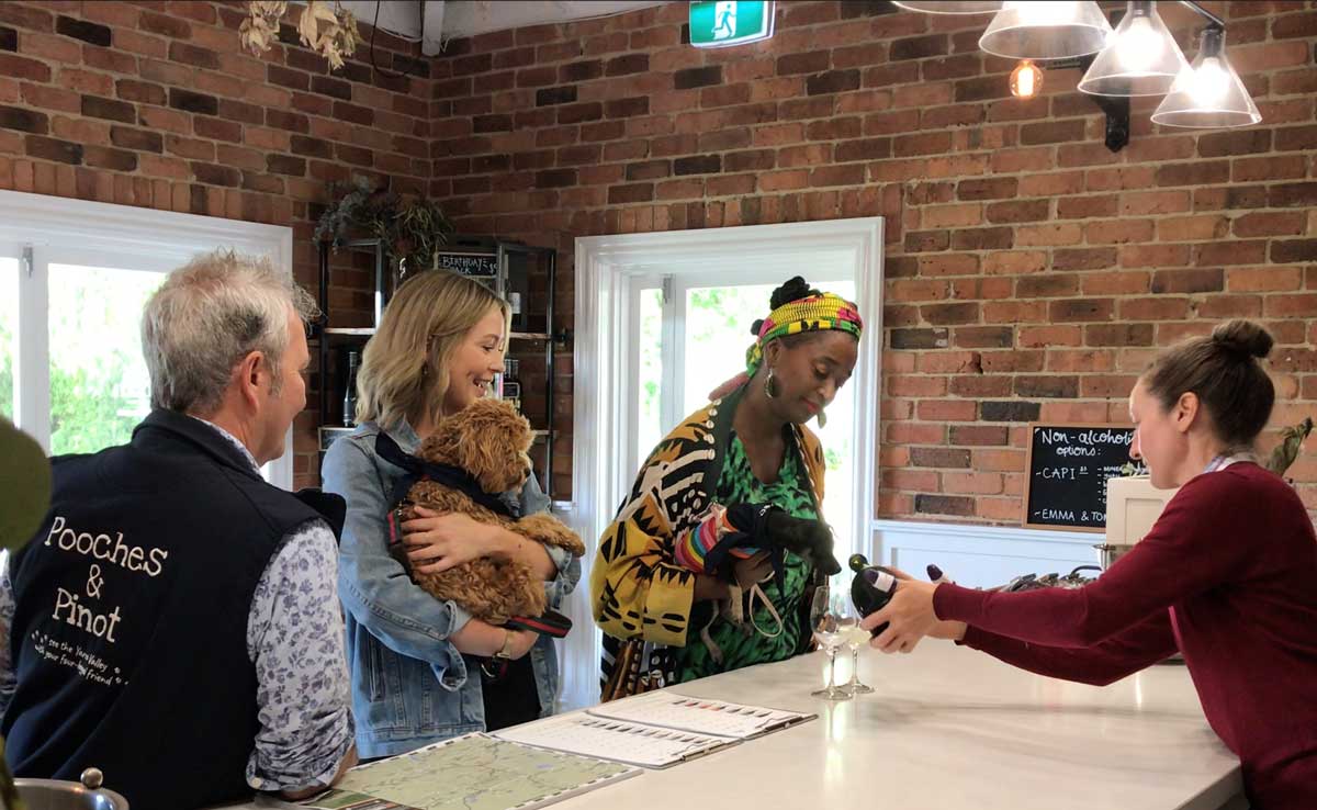 half-day-wine-tour-yarra-valley-hero-m