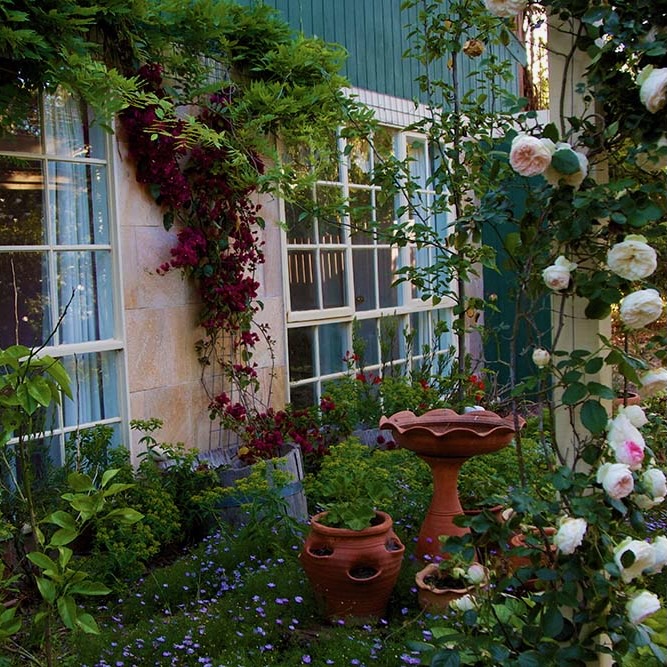 the exterior of Holly Lane Mews apartments in Steels Creek